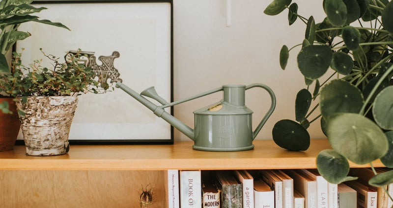 Haws Bosmere Haws Handy Plastic Watering Can, Mini Water Can for Indoor Plants, Succulents and Flowers, Sage Green, 1 Pint - Image 4